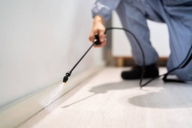 Certified termite inspector examining foundation in Charlevoix